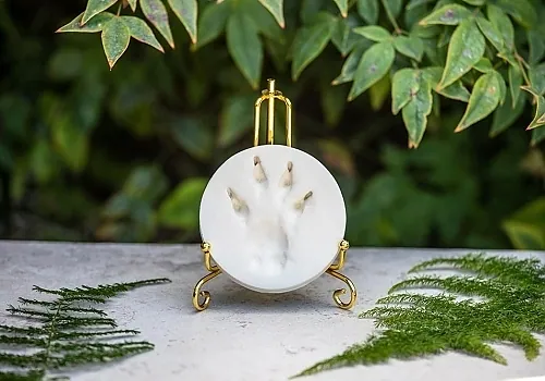 A white clay paw print displayed on a small gold stand, with green ferns behind it