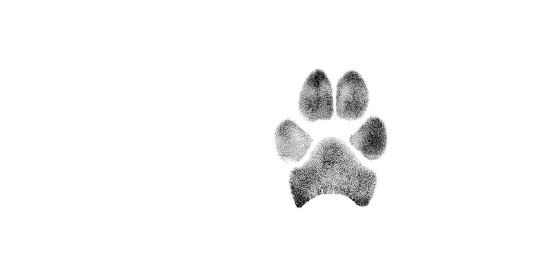 Ink paw print in archival ink on card stock beside a memorial card