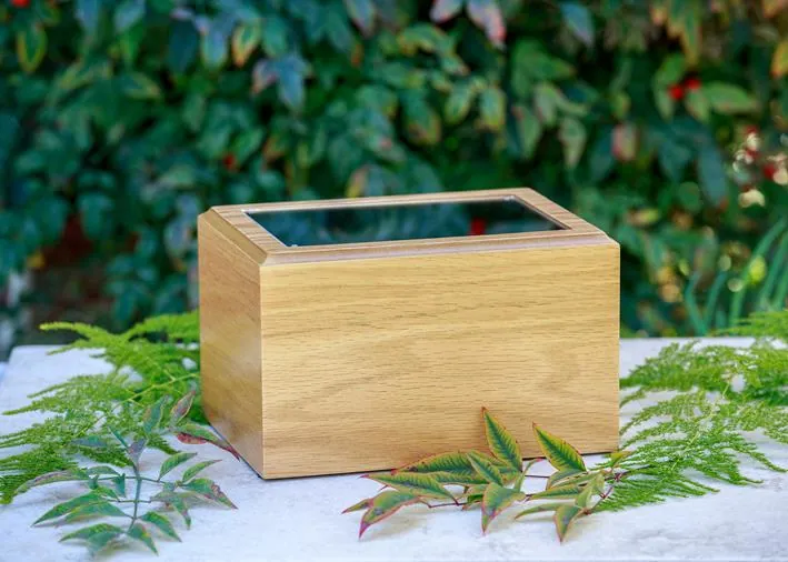 An arrangement of Passing Paws keepsakes — a cedar urn, a clay paw print, and a soft clipping of fur