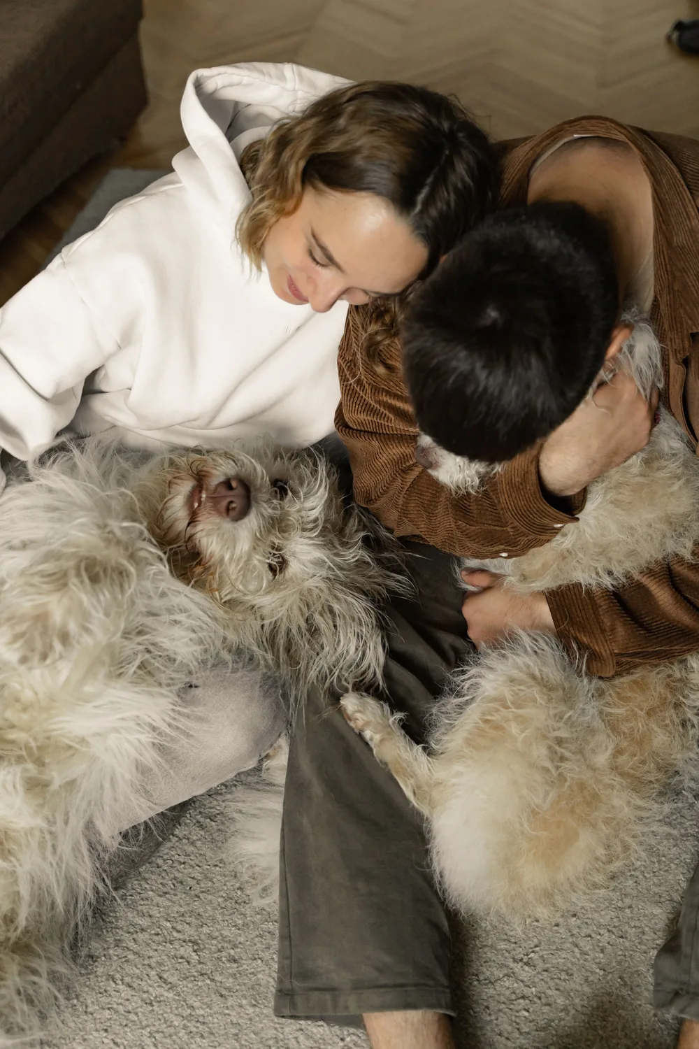 Two people at home cuddling their dogs on the floor